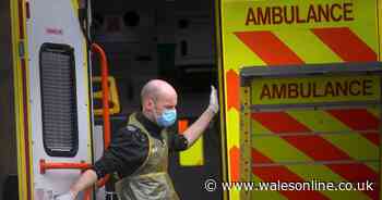 Almost half of people aged 25-34 'would flout rules in second lockdown'