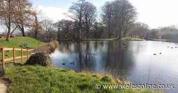 Warning over suspected toxic algae in water at city beauty spot