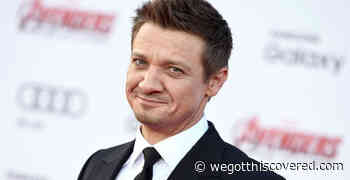 Jeremy Renner Reportedly Threw A Corona Party, Put His Daughter At Risk - We Got This Covered