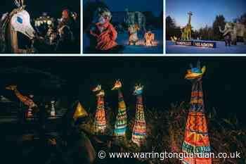 Chester Zoo reveals details of Christmas Lanterns event