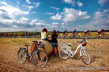 Pedersen verrast door naar eerste zege in regenboogtrui te sprinten