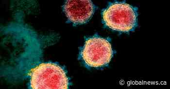 Manitoba reports 8th coronavirus death Tuesday - Winnipeg - Global News