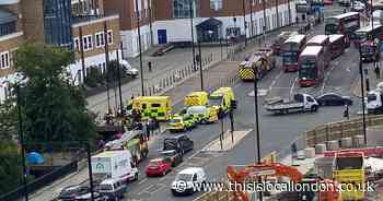 Lewisham: Man pulled from River Quaggy after police assault