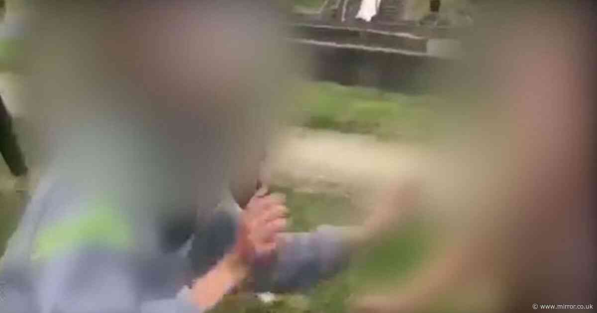 Girl, 11, kicked and punched by another youngster in sickening park 'attack'