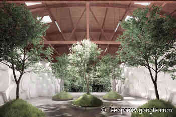 Human Composting: How Our Bodies Can Nourish New Life After Death