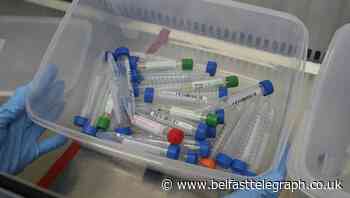 Food plant suspends operations after 80 test positive for coronavirus