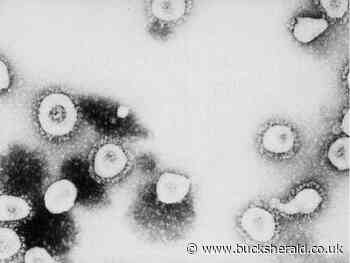 Coronavirus update August 4: One new case in Aylesbury Vale - Bucks Herald