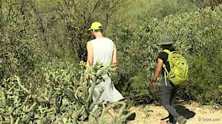 Santa Catalina Ranger District implements new rules for hikers on the Catalina Mountains