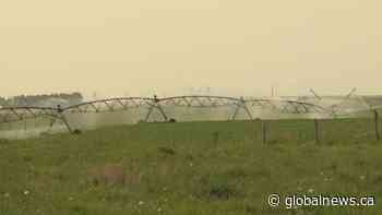 Alberta announces funding for Taber Irrigation District