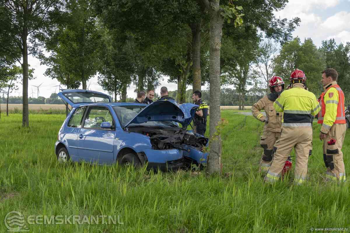 Automobilist botst op boom tussen Termunten en Baamsum | Eemskrant | Nieuws uit de regio - Eemskrant