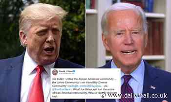Trump says Biden 'lost African American community' with gaffe