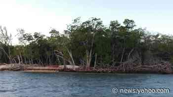 Federal judge rules the government owns an undeveloped island off Key West — not a developer