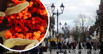 Warning Solihull could still face a devastating second coronavirus wave - Birmingham Live