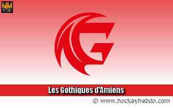 Hockey sur glace : Amiens : Communiqué abonnement - Ligue Magnus : Amiens (Les Gothiques) - hockeyhebdo Toute l'actualité du hockey sur glace
