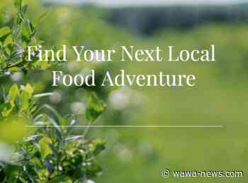 Shop, Taste, Experience Local and WIN – Wawa-news.com - Wawa-news.com