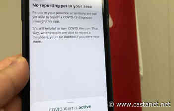 COVID app not perfect - Dan in Ottawa - Castanet.net