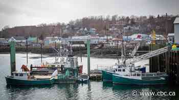Ottawa announces details of support program for fishermen - CBC.ca