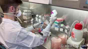 Antibody cocktail could bridge the gap to a vaccine