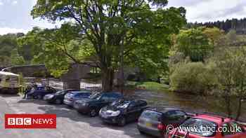 Man denies Dales barbecue stabbing