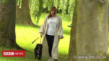 Nidderdale dog poison death: 'Someone should be held responsible'