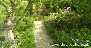 Tourist spot Crook Hall & Gardens collapsed owing debts of £680,000