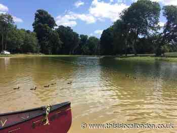 Reports of 'swimmer's itch' at Beckenham Place Park lake