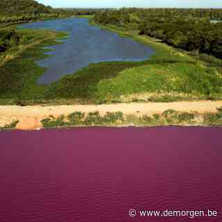 Paraguayaanse lagune wordt paars aan ene kant, maar blijft blauw aan de andere