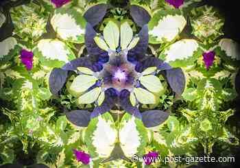 Garden of the Five Senses opens at Pittsburgh Botanic Garden