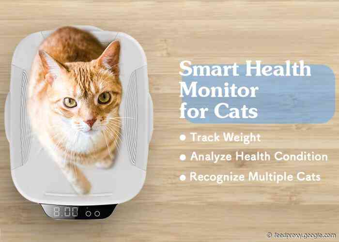 WeCare cat health monitor continually analyzes their health