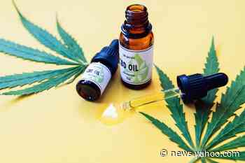 'Unmerited humiliation:' Woman sues over CBD oil arrest at Disney World