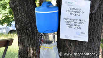Il virus West Nile circola ancora fra le zanzare, Modena classificata in zona di livello 2 - ModenaToday