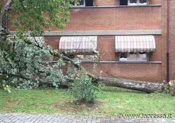 Due temporali, 180.000 euro di danni e tanti disagi a Modena - La Pressa