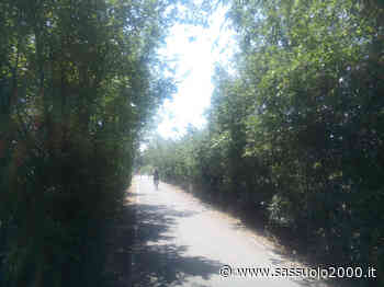 Posato il ponte sul Grizzaga lungo la ciclopedonale Modena-Vignola - sassuolo2000.it - SASSUOLO NOTIZIE - SASSUOLO 2000