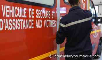 Vendée. Des feux de broussailles mobilisent les pompiers - maville.com