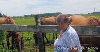Minnesota horse breeder fears she's being pushed out because of her age