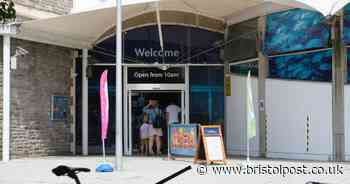 Dad accuses Bristol Aquarium of 'free-for-all' and fears 'disaster'
