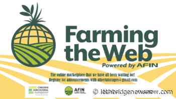Farming the Web – new agriculture marketplace is up and running - Lethbridge News Now
