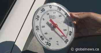 Lethbridge officials warn of dangers associated with hot weather as temperature rises - Globalnews.ca