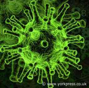 Five more coronavirus cases in North Yorkshire