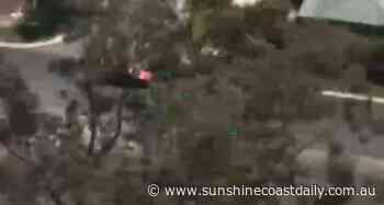 Drug-fuelled police chase captured on video - Sunshine Coast Daily