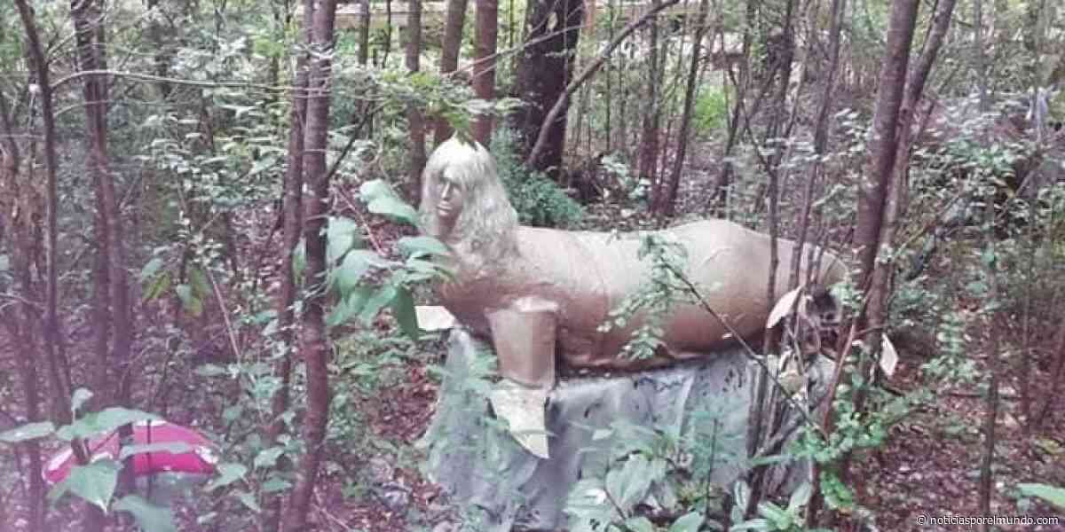 ▷ Parque con estatuas de héroes y figuras mitológicas de Pucón genera debate en Twitter: dicen que es feo - Noticias por el Mundo