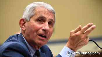 Coronavirus: Dr Fauci says daughters have been harassed