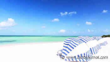 Webinar: How to Travel to Aruba Right Now Caribbean Journal - Caribbean Journal