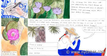 Why You Should Write Postcards, Even From Home