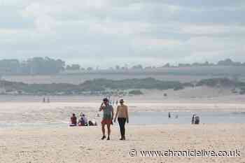 Sunseekers head for Northumberland for a social-distanced day on the beach
