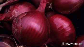More than 100 more salmonella illnesses in Canada linked to onion recall