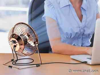 Beat the heat: Five personal fans for $8 or less     - CNET