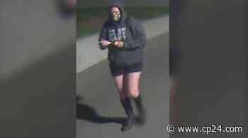 Toronto police release images of suspect sought in mischief probe - CP24 Toronto's Breaking News
