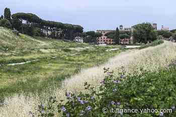 L'erba cattiva non muore mai: un nuovo New Deal - Yahoo Finanza