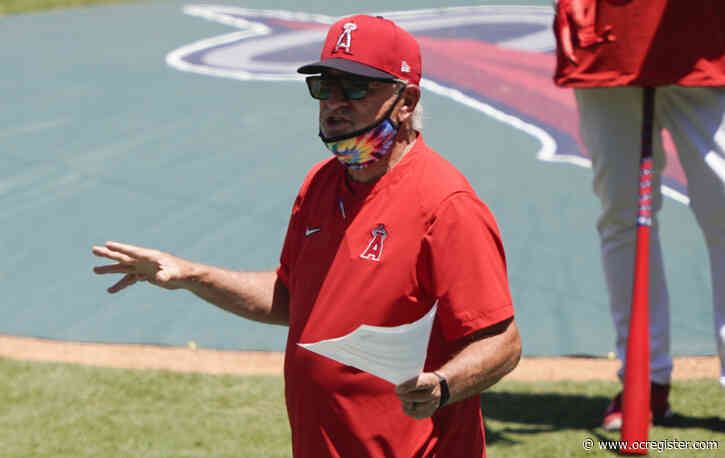Joe Maddon believes Angels clubhouse is free of drug issues